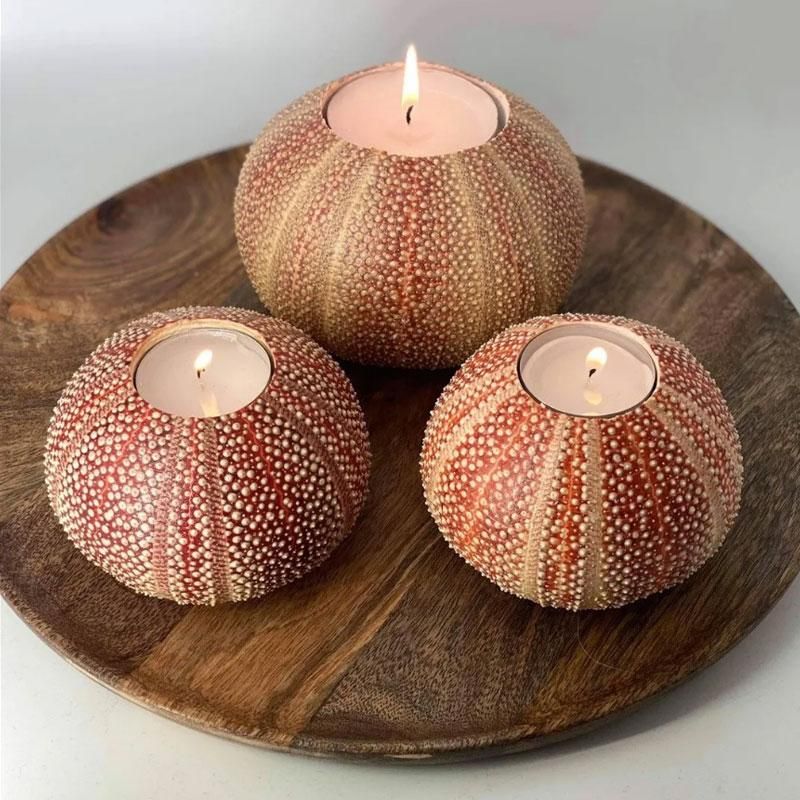 Nyt Lofoten - Kråkebollelys medium