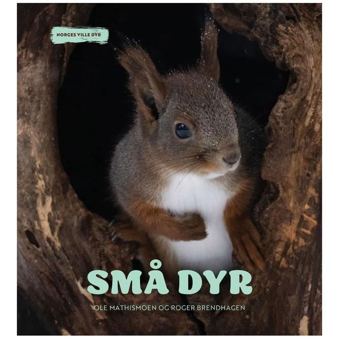 Hovedbilde Norges ville dyr - Små dyr