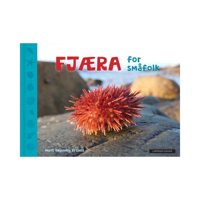 Hovedbilde Fjæra for småfolk