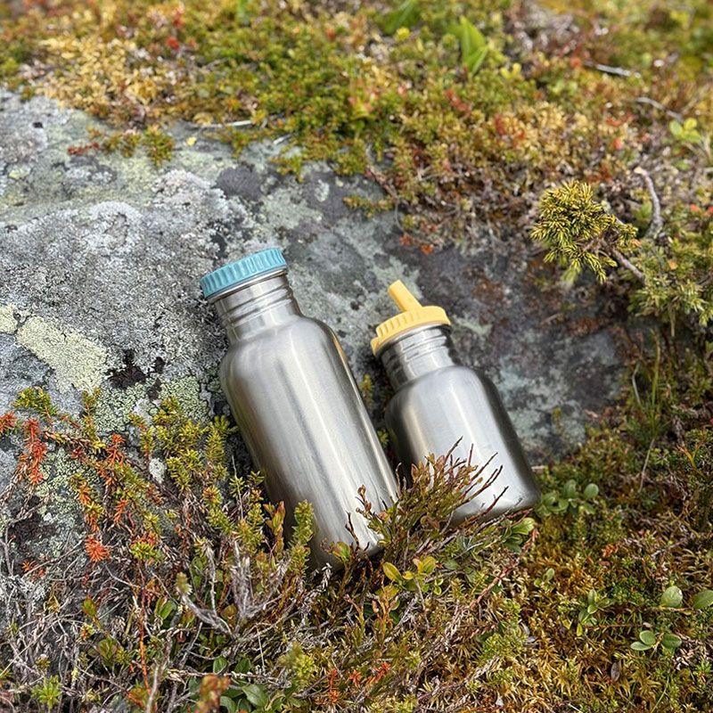 Blafre - Stålflaske 500 ml - Blågrønn