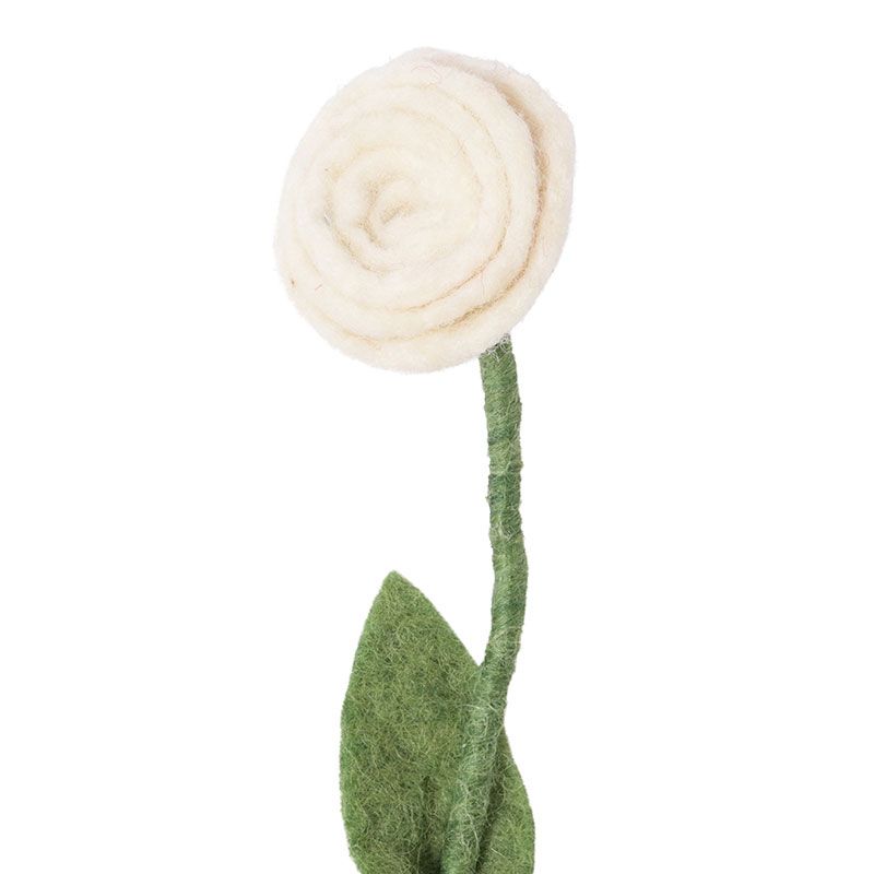 Aveva - Endless flower - Rose white
