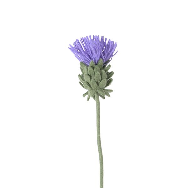 Hovedbilde Aveva - Endless flower - Blomstrende artisjokk