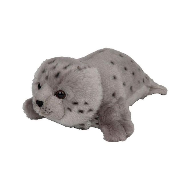 Hovedbilde Polaria - Steinkobben Leo