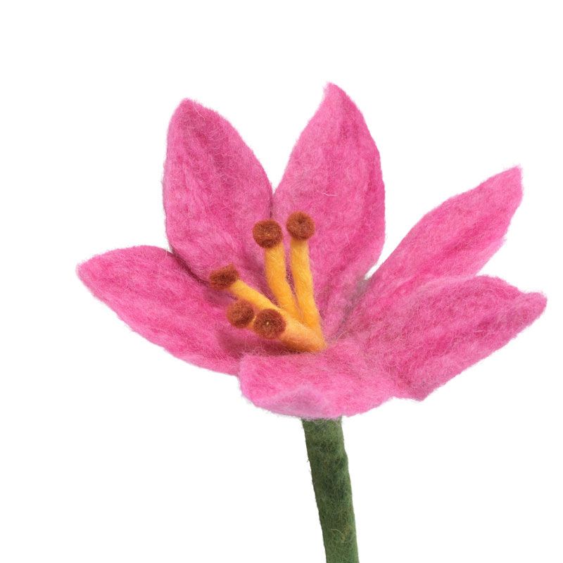 Aveva - Endless flower - Lilje rosa